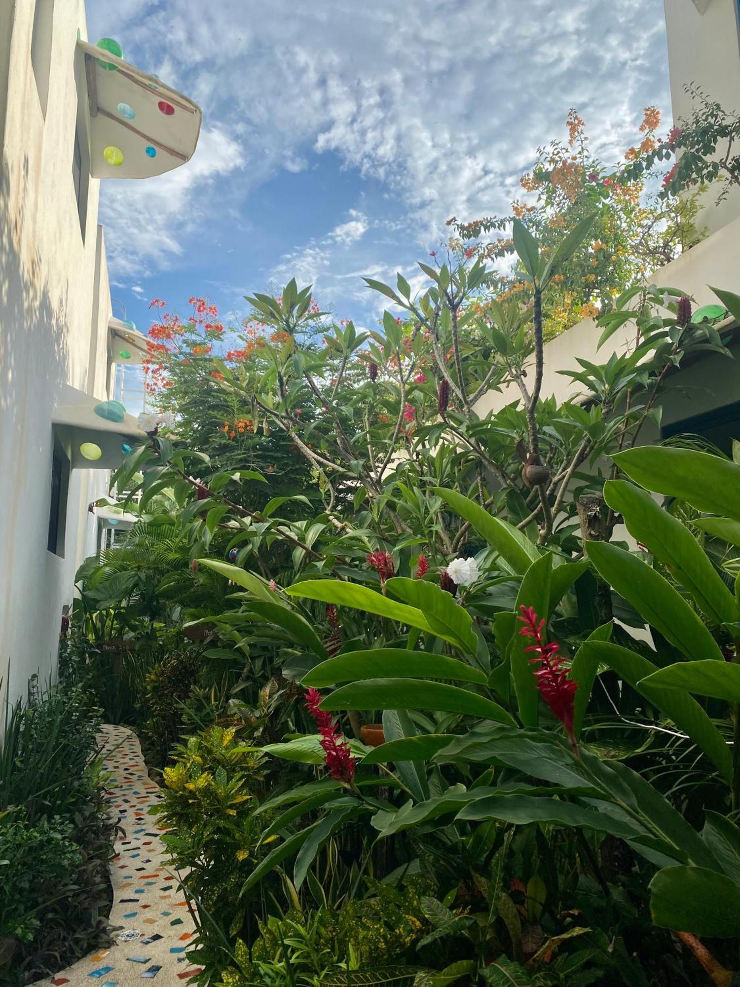 Maison Bacalar Exterior photo