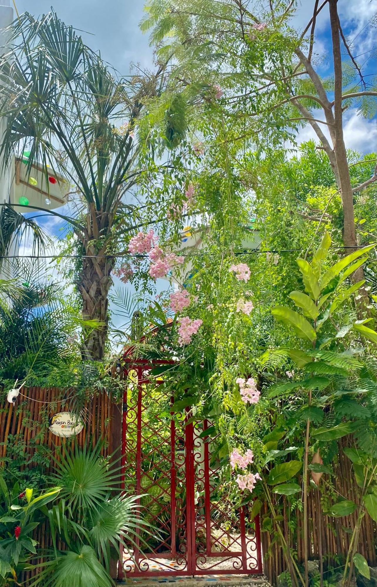 Maison Bacalar Exterior photo